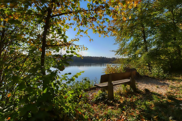 永远不会消 永远不会消