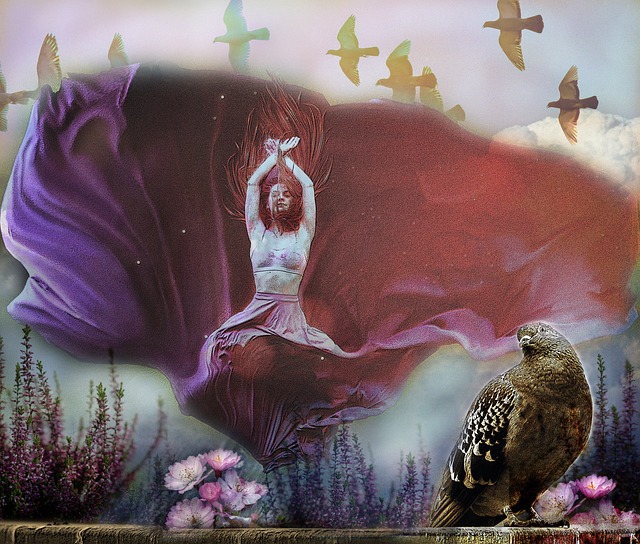 赛以及球迷 赛以及球迷