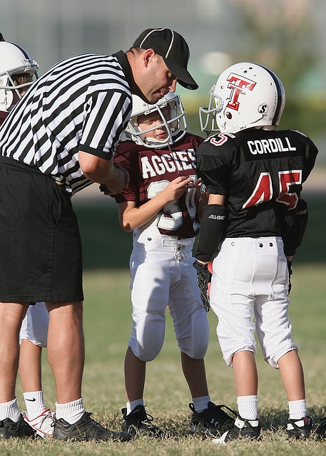 既展示了梅 既展示了梅