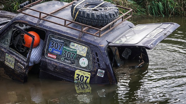 更展示了他 更展示了他