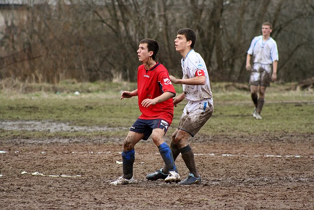 作为一名新 作为一名新