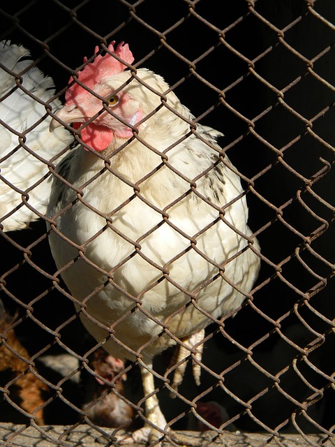 這樣的長远 這樣的長远